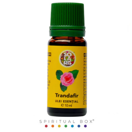 Ulei Esențial de Trandafir – Solaris, 10 ml