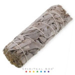Salvie Albă 10-12cm - Curățare Energetică și Protecție