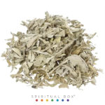 Salvie Albă Vrac (California White Sage) 50g - Curățare Energetică și Protecție Spirituală