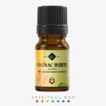 Ulei Esențial de Coniac Alb – Element Aether, 5 ml