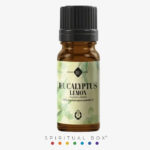 Ulei Esențial de Eucalipt și Lămâie – Element Aether, 10 ml