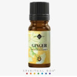 Ulei Esențial de Ghimbir – Element Aether, 10 ml